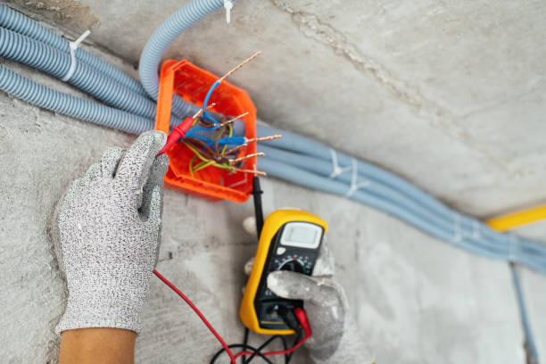Best Generator Installation Services  in Wallace, ID